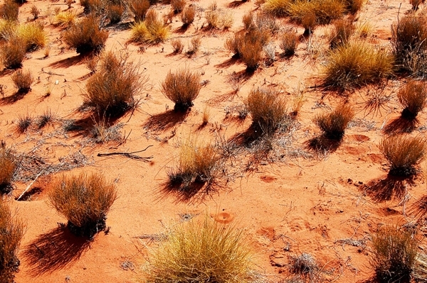 호주의 outback 지역 모습 (사진=pixabay)