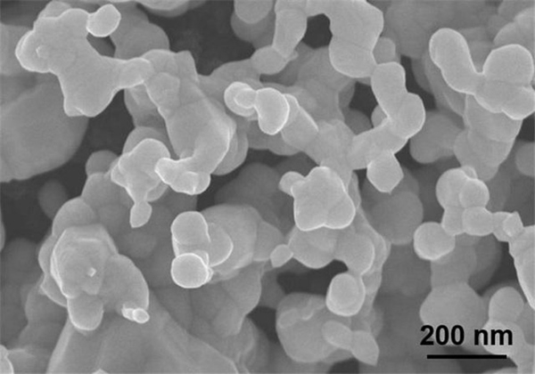 나노미터 크기 산호형태 은 촉매의 전자 현미경(SEM) 사진. (사진=한국과학기술연구원)