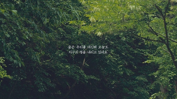 '2016 대한민국광고대상' 라디오 부문 대상에 선정된 유한킴벌리의 '숲은 해열제' 광고 시리즈. (사진=유한킴벌리)