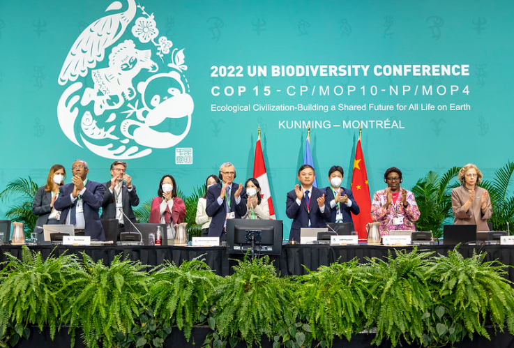 생물다양성협약 회의가 진행되고 있다. (사진= Convention on Biological Diversity 홈페이지)